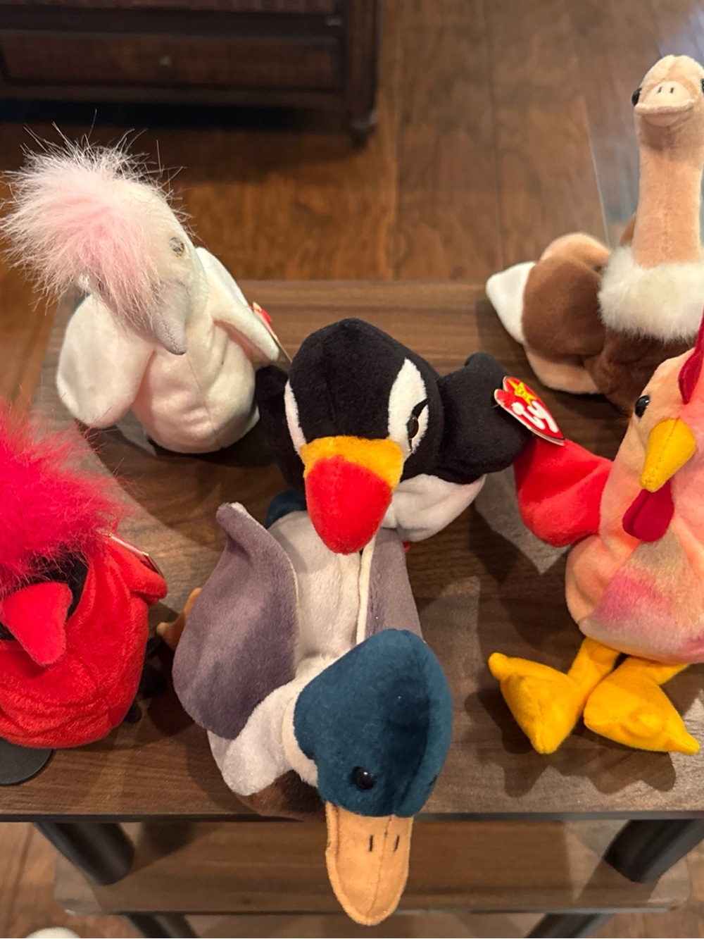 TY Beanie Baby Lot Of 6 Birds -Jake, Mac, Kuku, Doodle And Stretch W/Tags